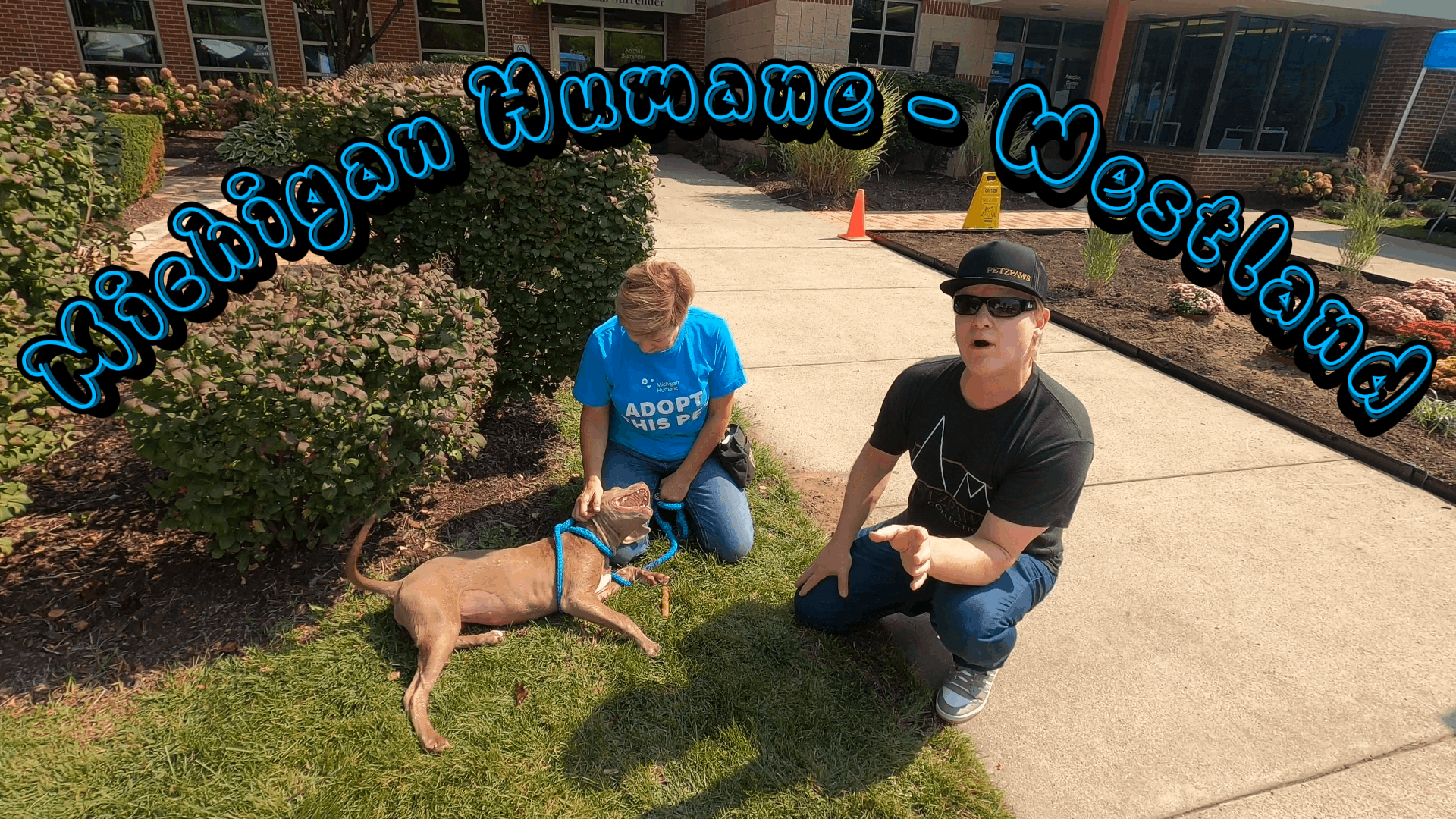 Michigan Humane - Westland, Michigan