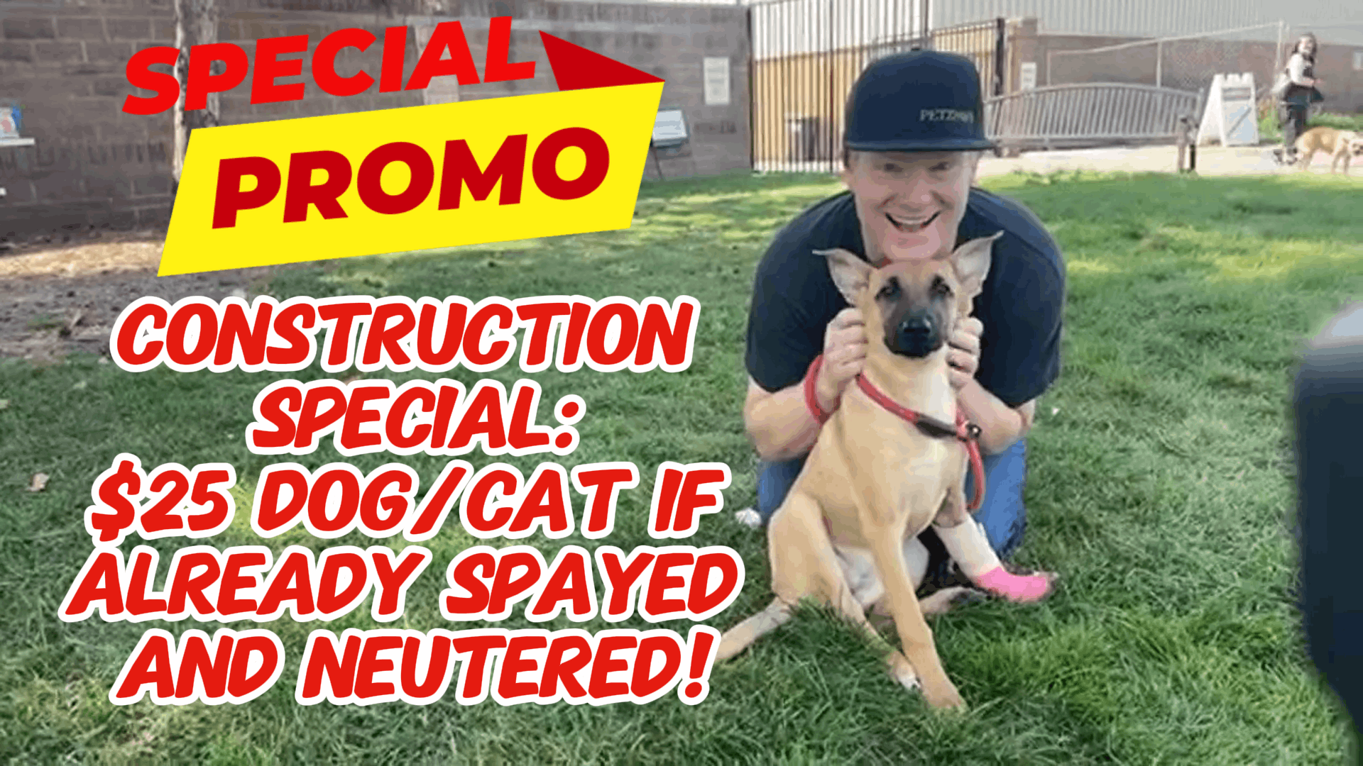 Taylor Animal Shelter - Dog and Cat Construction Special!
