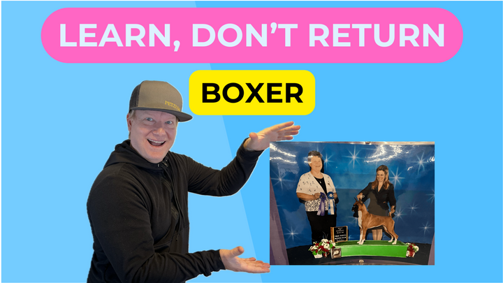 Learn, Don't Return - Boxer Dog - Breeder Interview w/ Amy Bieri-Shields