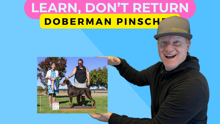 Learn, Don't Return - Doberman Pinscher - Breeder Interview w/ Janet Oppedal