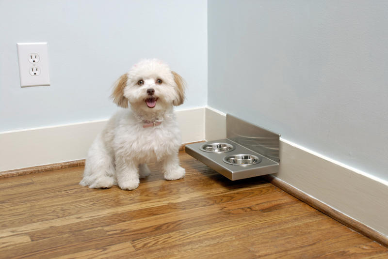 1/2 Pint Floating Cat Food Bowls