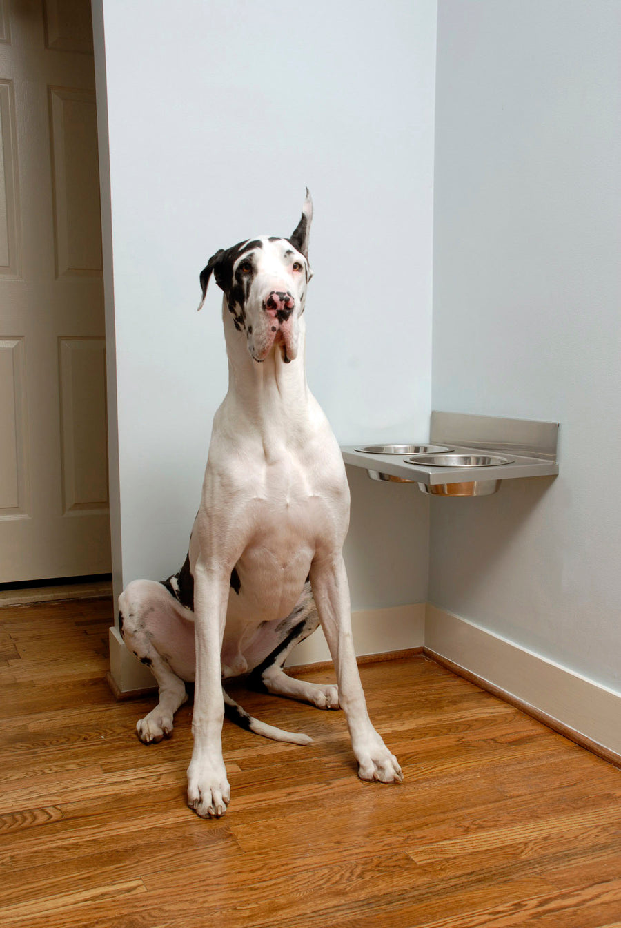 2 Quart Floating Dog Food Bowls