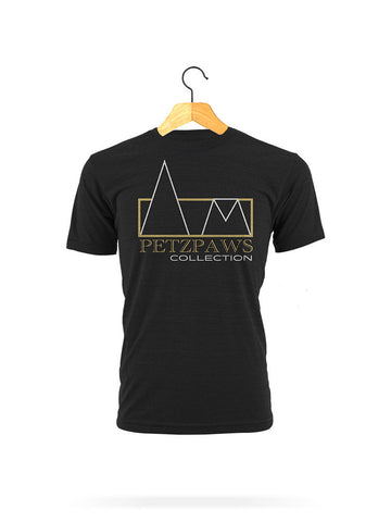 Frisbee T
