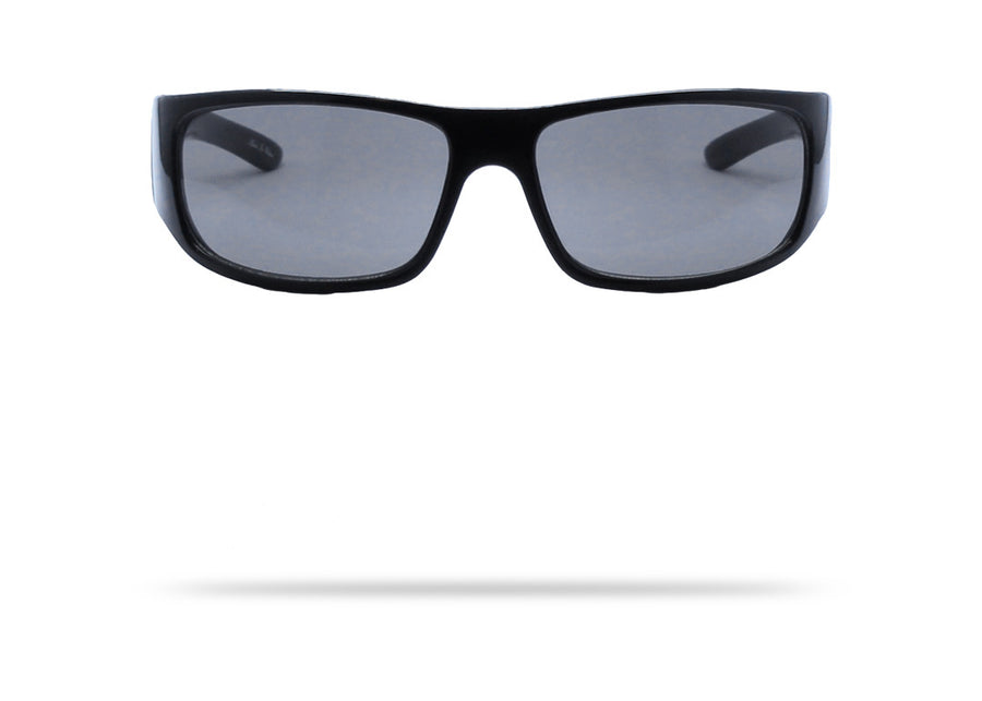 Black Labrador Sunglasses
